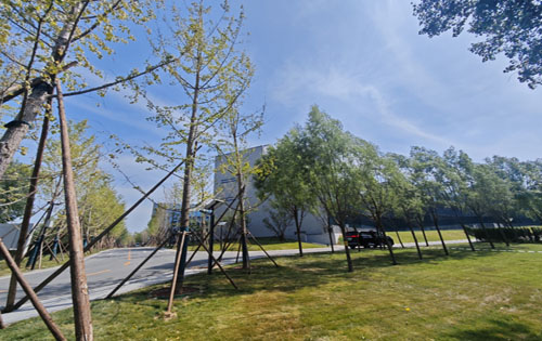 北京理工大学朝阳科技园绿化